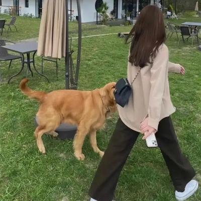 魔术师与小丑第一季